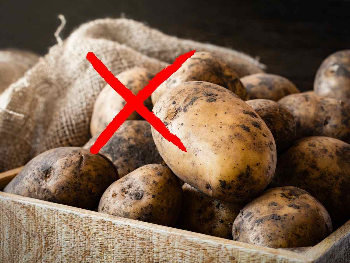sfondo sacco di patate e X rossa