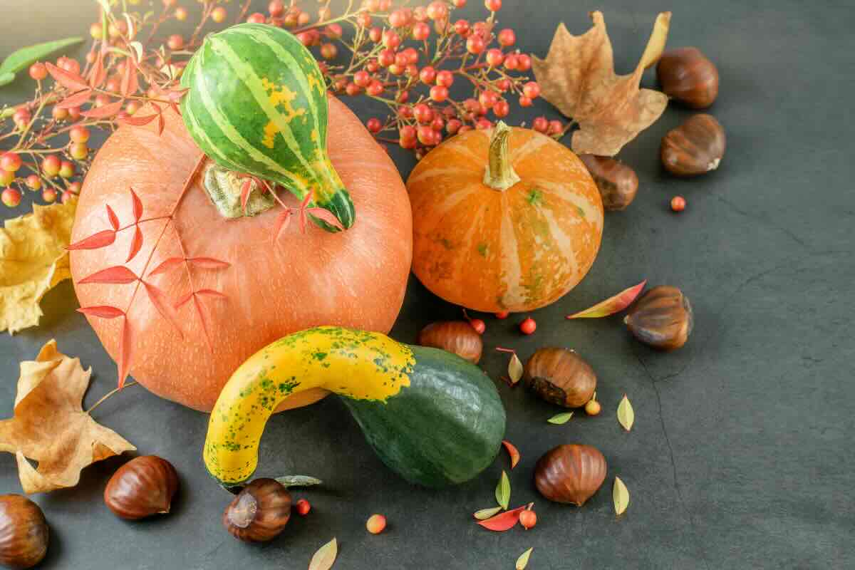 zucche, castagne, bacche