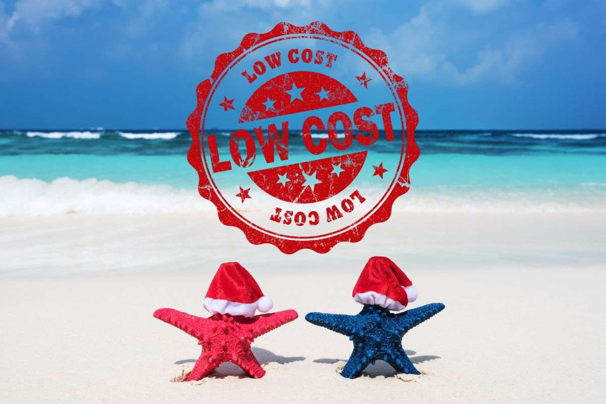 stelle marine con cappellino di babbo natale e scritta low cost