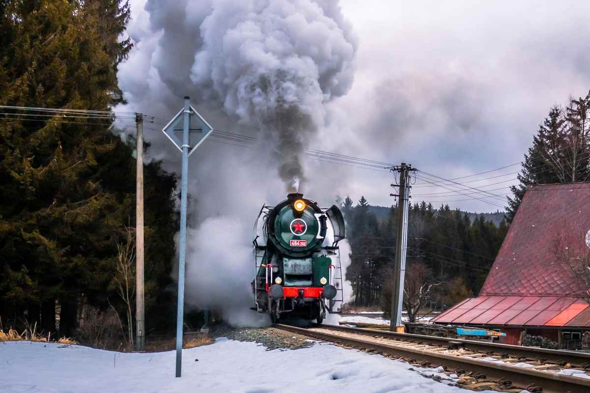 Treno a vapore in mezzo al bosco