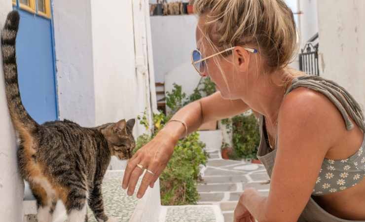 Donna coccola un gatto randagio in Grecia