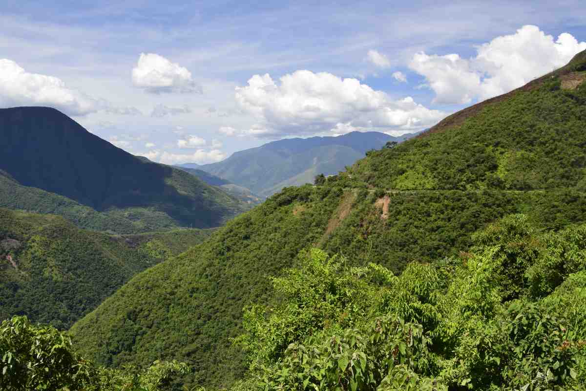 veduta verde delle montagne