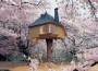 casa sull'albero in Giappone
