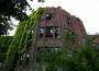 North Brother Island (New York City, New York)