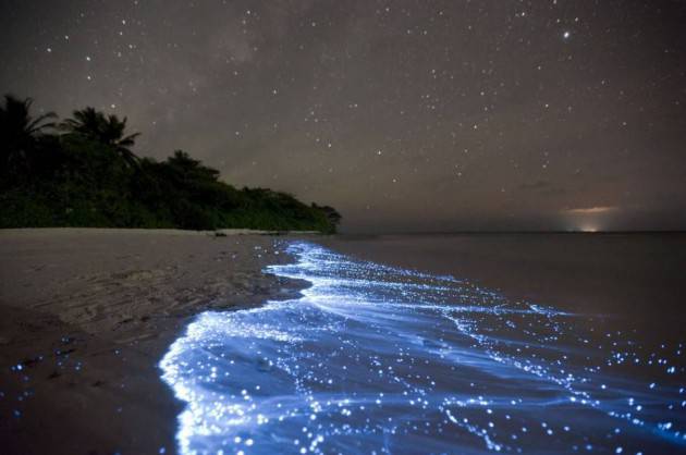 Maldive, la spiaggia luminosa