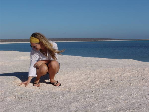 shell beach, australia