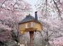 casa sull'albero in Giappone