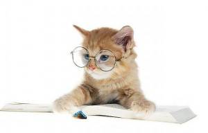 cat reader