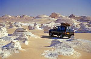 desertobiancob2