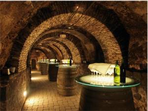 news-cantine_aperte_4
