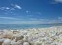 shell beach, australia