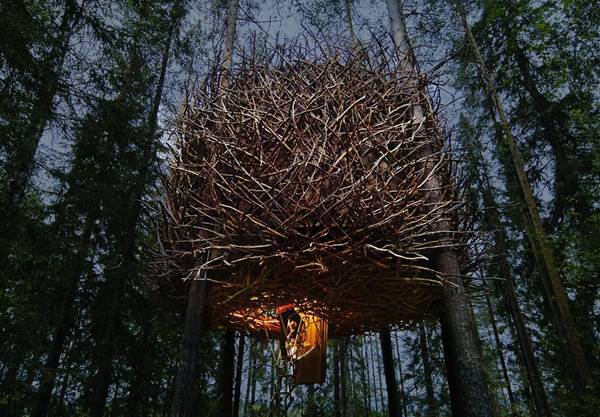 the bird's nest albergo svezia