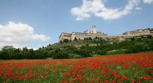 Veduta di Assisi (PG) (foto dal web)